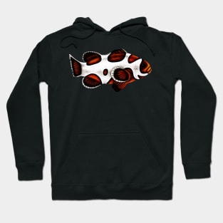 Orange storm clownfish Hoodie